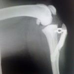 Ogromnie co niemiara osób wie jak istotny jest sport. Raz za razem więcej ludzi rozpoczyna go stosować w praktyce.